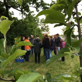 Fest für den Akademiepark