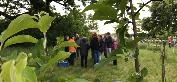 Fest für den Akademiepark