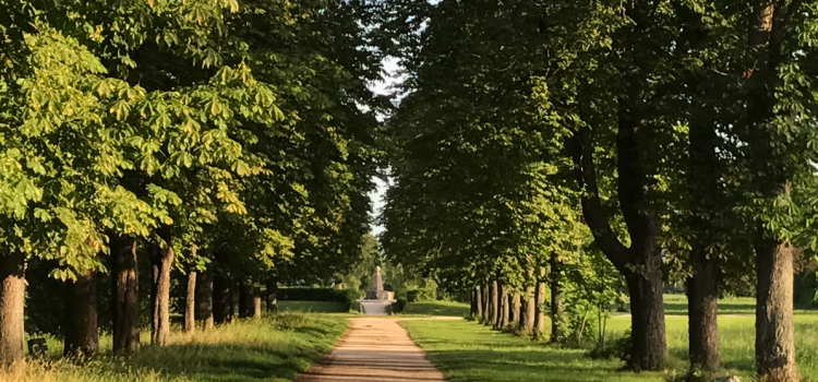 Fotowettbewerb „Mein schönstes Akademieparkfoto“