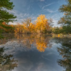 Gewinner des Fotowettbewerb „Mein schönstes Akademieparkfoto“