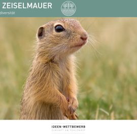 Ziesel an der ZEISELMAUER von Mag. Irene Zvieger – Idee der Woche zur „Zukunft am Fohlenhof“