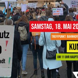 Klimaschutz-Demo in Wiener Neustadt