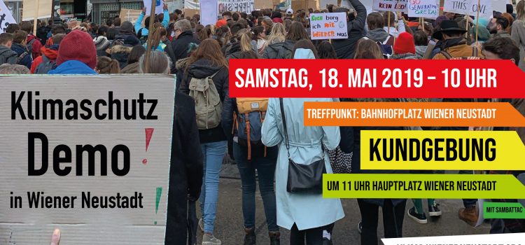 Klimaschutz-Demo in Wiener Neustadt