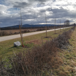 Erfreuliche Nachrichten aus dem Park